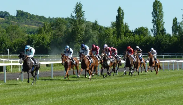 Carrera de caballos arabes